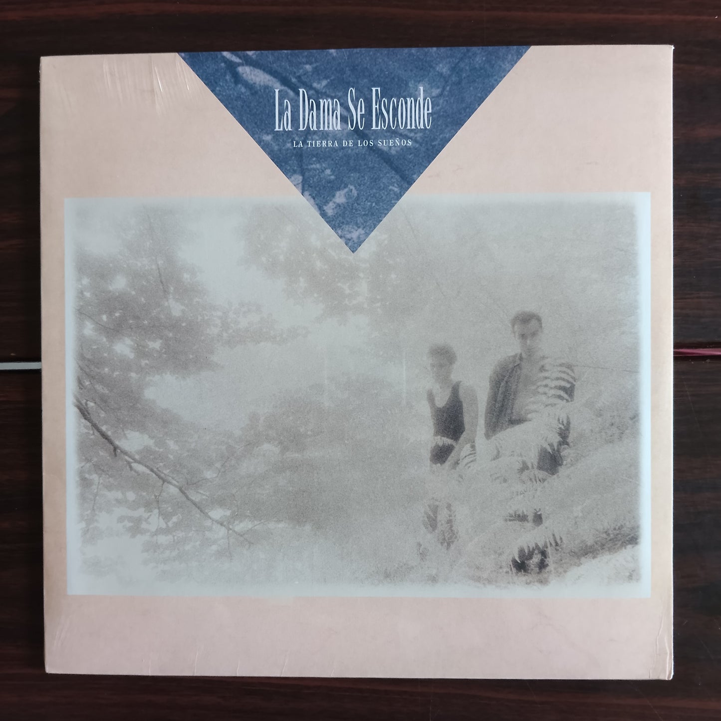 LA TIERRA DE LOS SUEÑOS (VINILO)