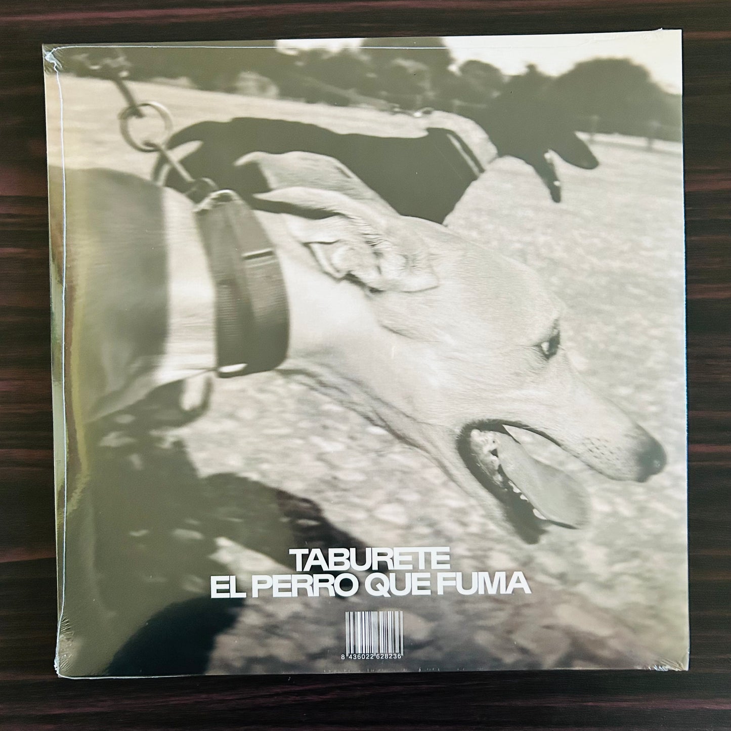 EL PERRO QUE FUMA (VINILO)