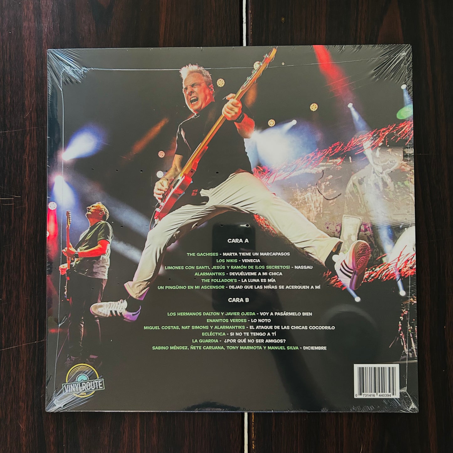 TRIBUTO A DAVID SUMMERS (VINILO)