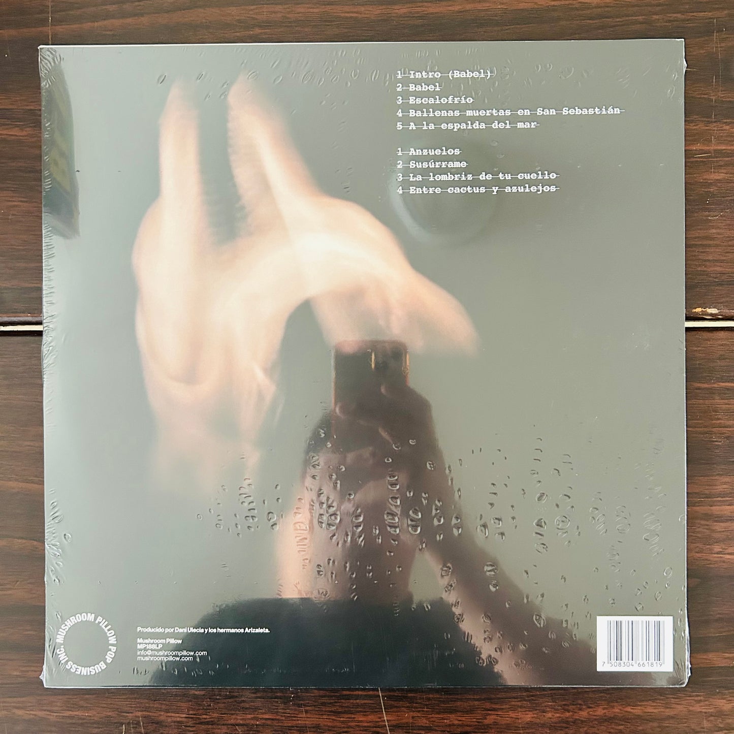 BALLENAS MUERTAS EN SAN SEBASTIÁN (VINILO)