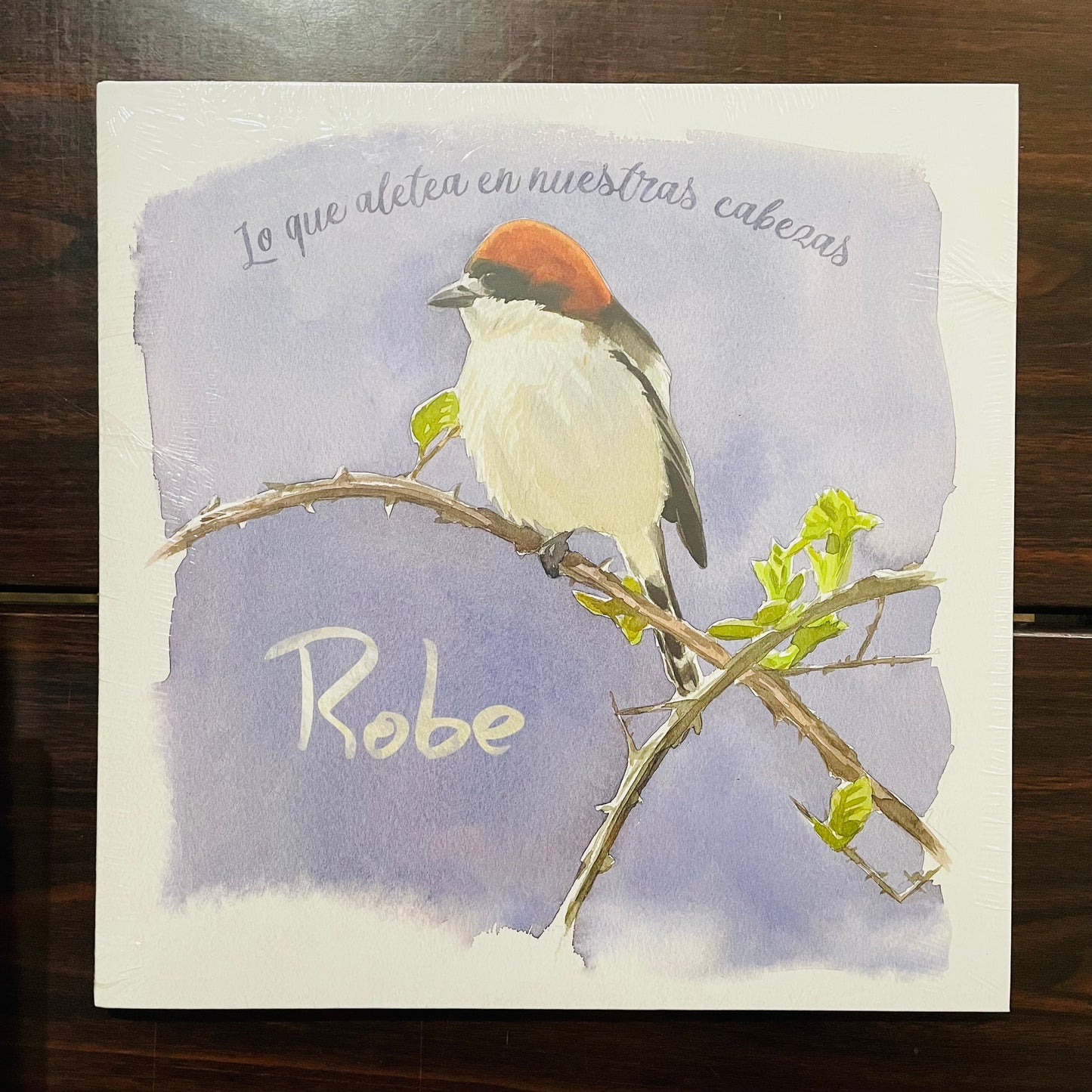 LO QUE ALETEA EN NUESTRAS CABEZAS (VINILO)