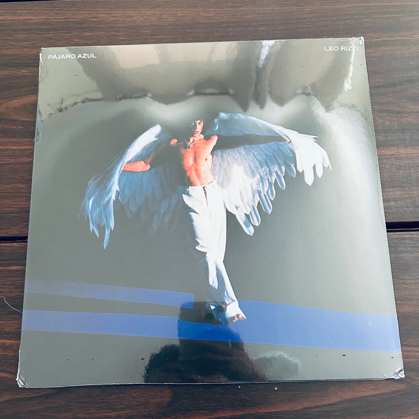 PÁJARO AZUL (VINILO)