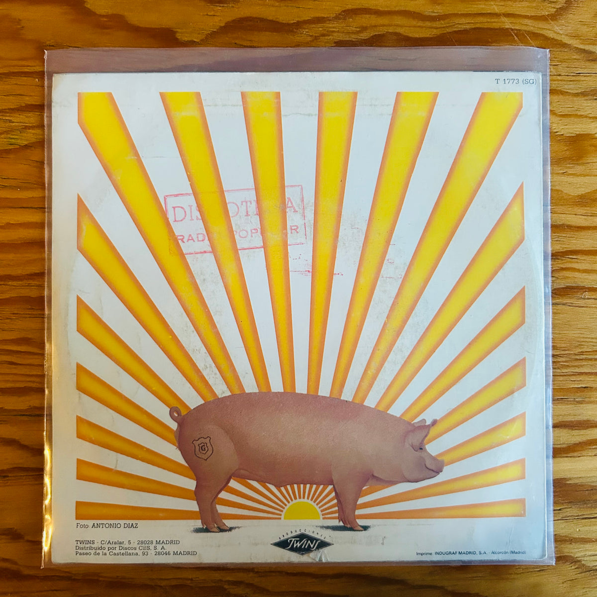 Y CAYÓ LA BOMBA FÉTIDA (VINILO SINGLE 7”)