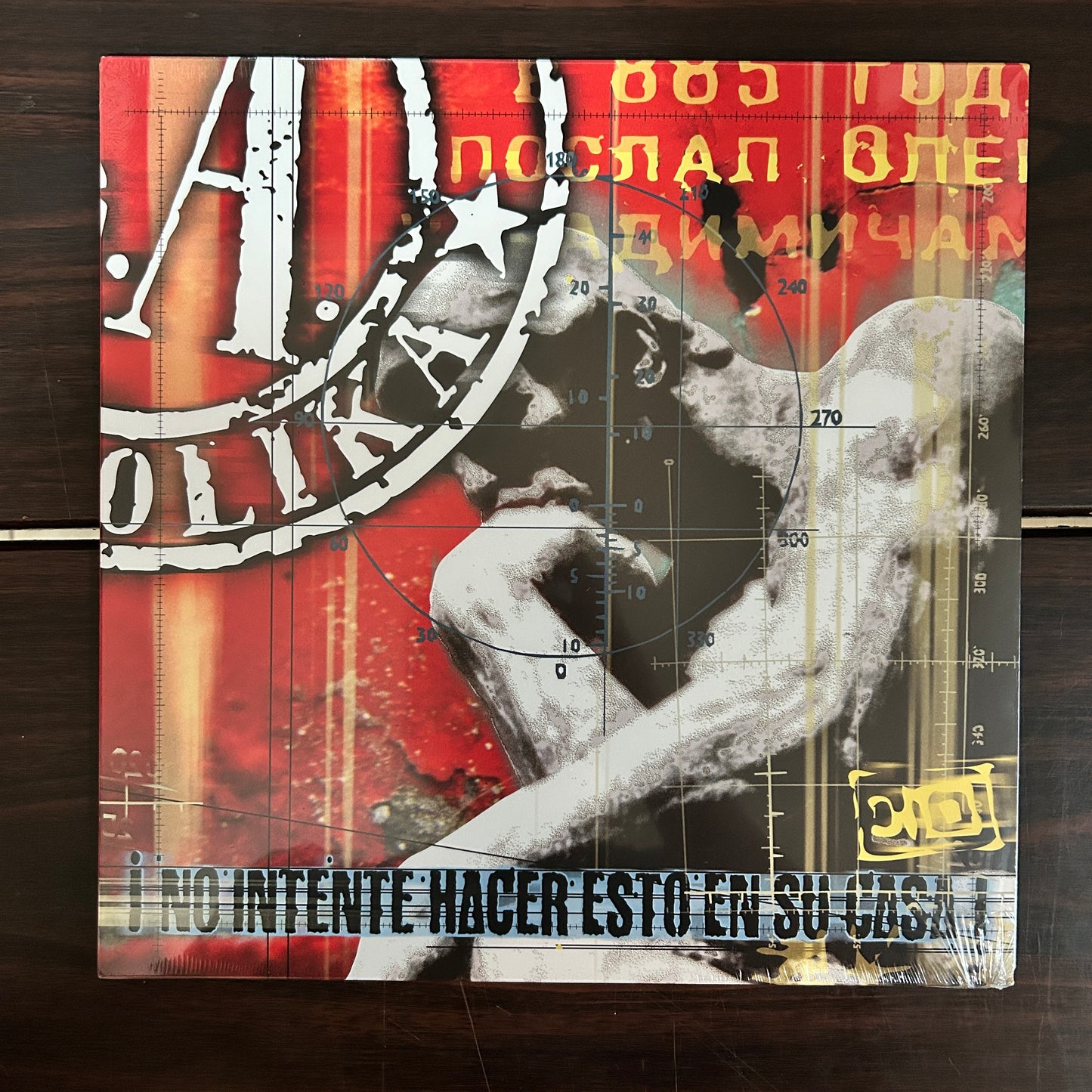 NO INTENTE HACER ESTO EN SU CASA (VINILO)
