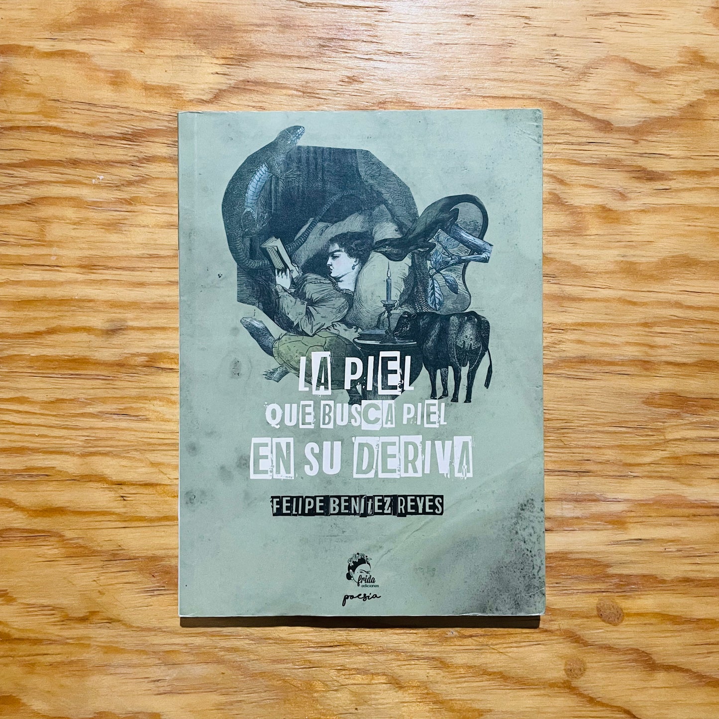 LA PIEL QUE BUSCA PIEL EN SU DERIVA