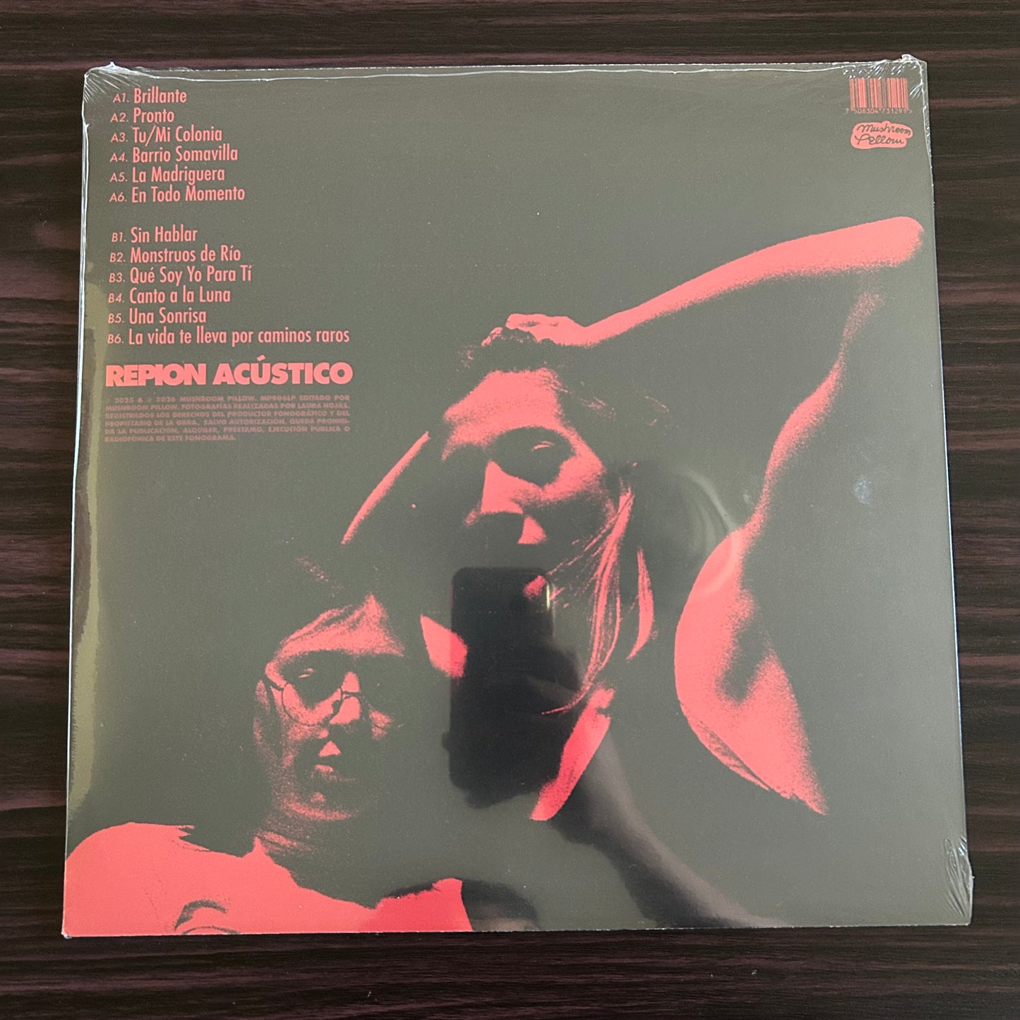 REPION ACÚSTICO (VINILO GRIS)
