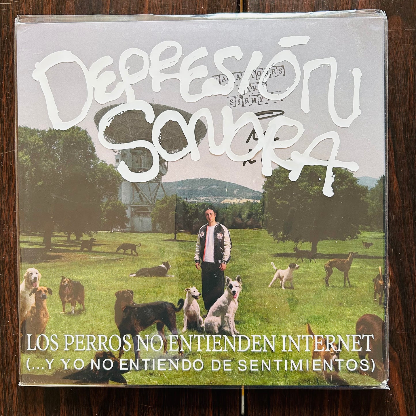 LOS PERROS NO ENTIENDEN INTERNET (VINILO FIRMADO DELUXE)