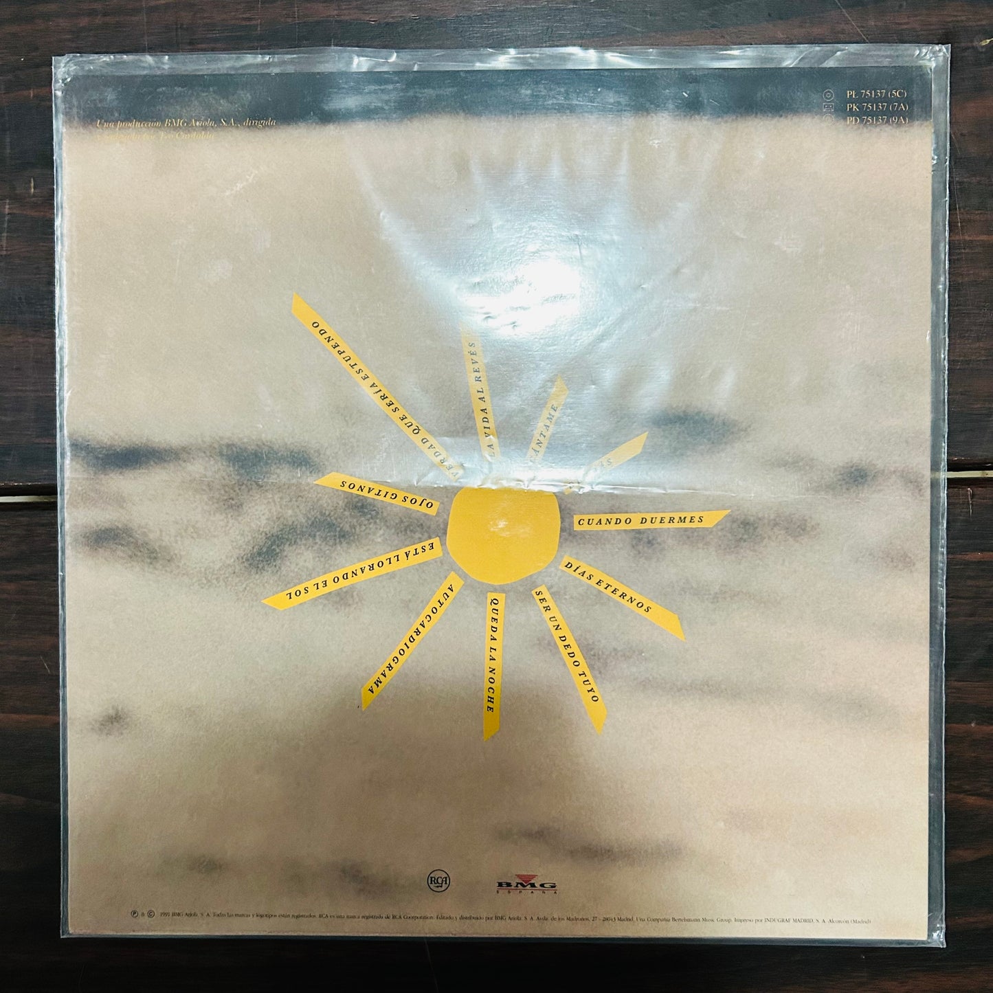 ESTÁ LLORANDO EL SOL (VINILO) (2DA MANO)