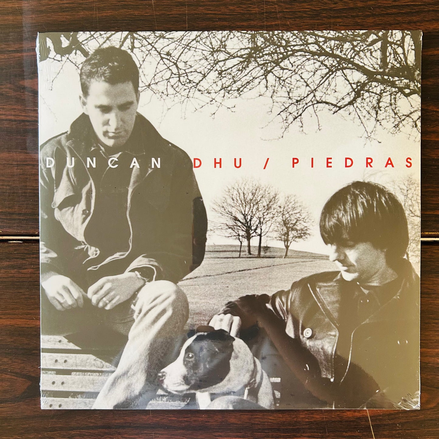 PIEDRAS (VINILO)
