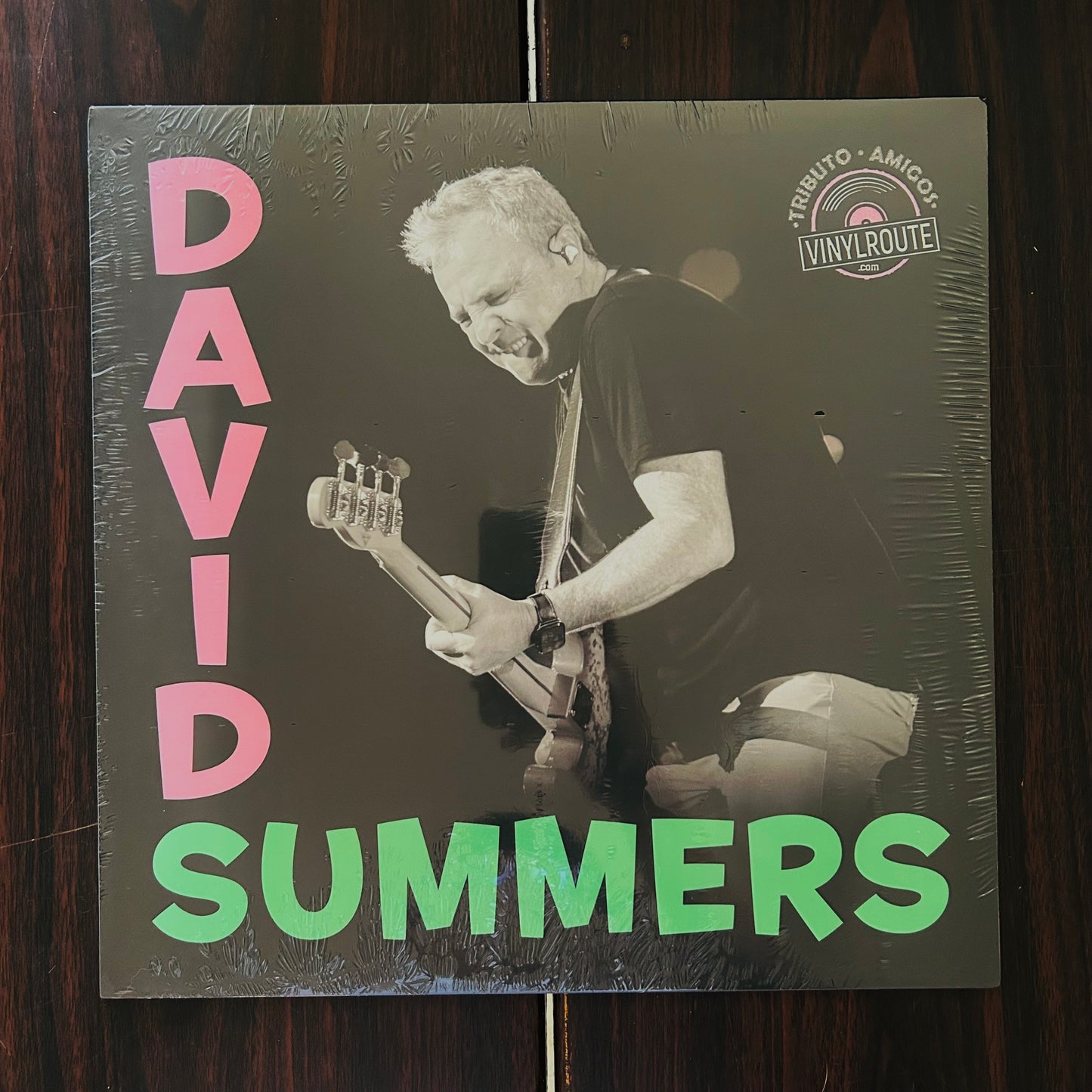 TRIBUTO A DAVID SUMMERS (VINILO)