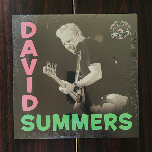 TRIBUTO A DAVID SUMMERS (VINILO)