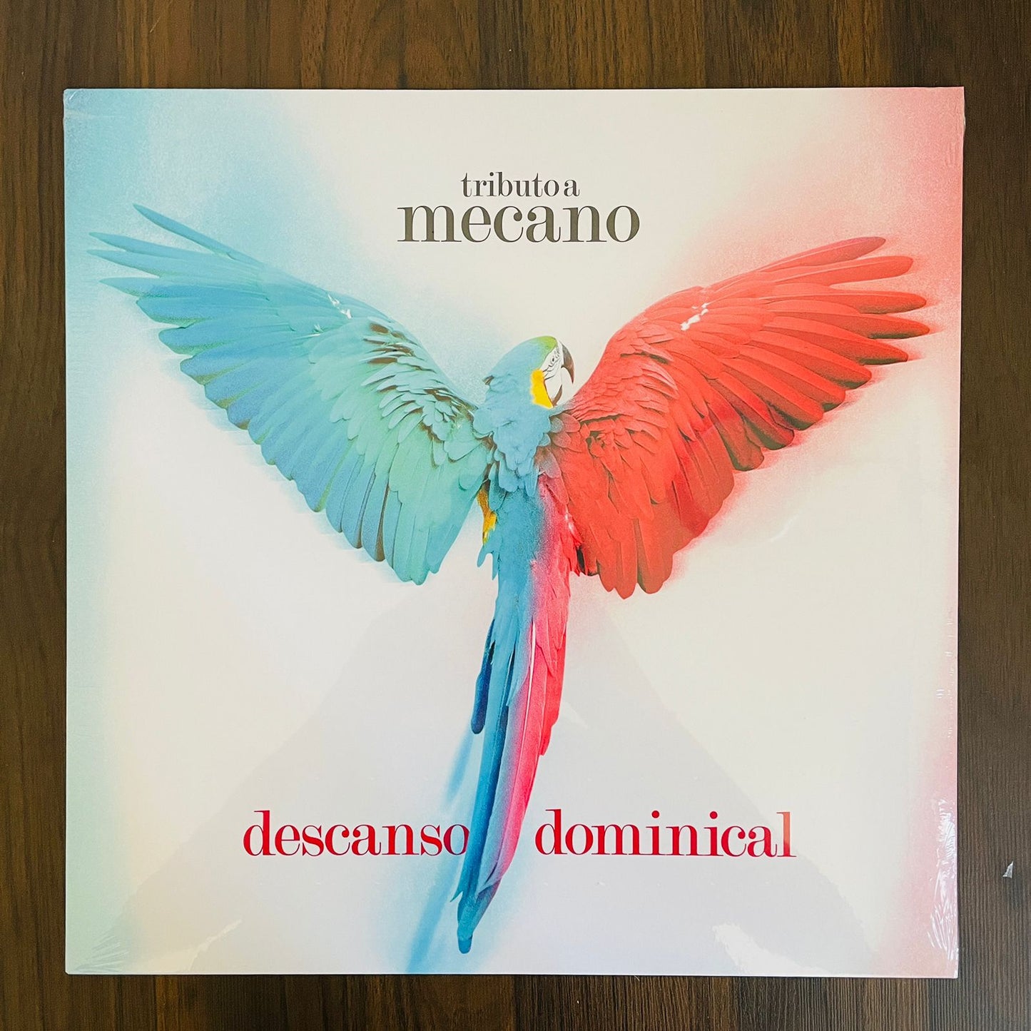 TRIBUTO A MECANO DESCANSO DOMINICAL (VINILO)