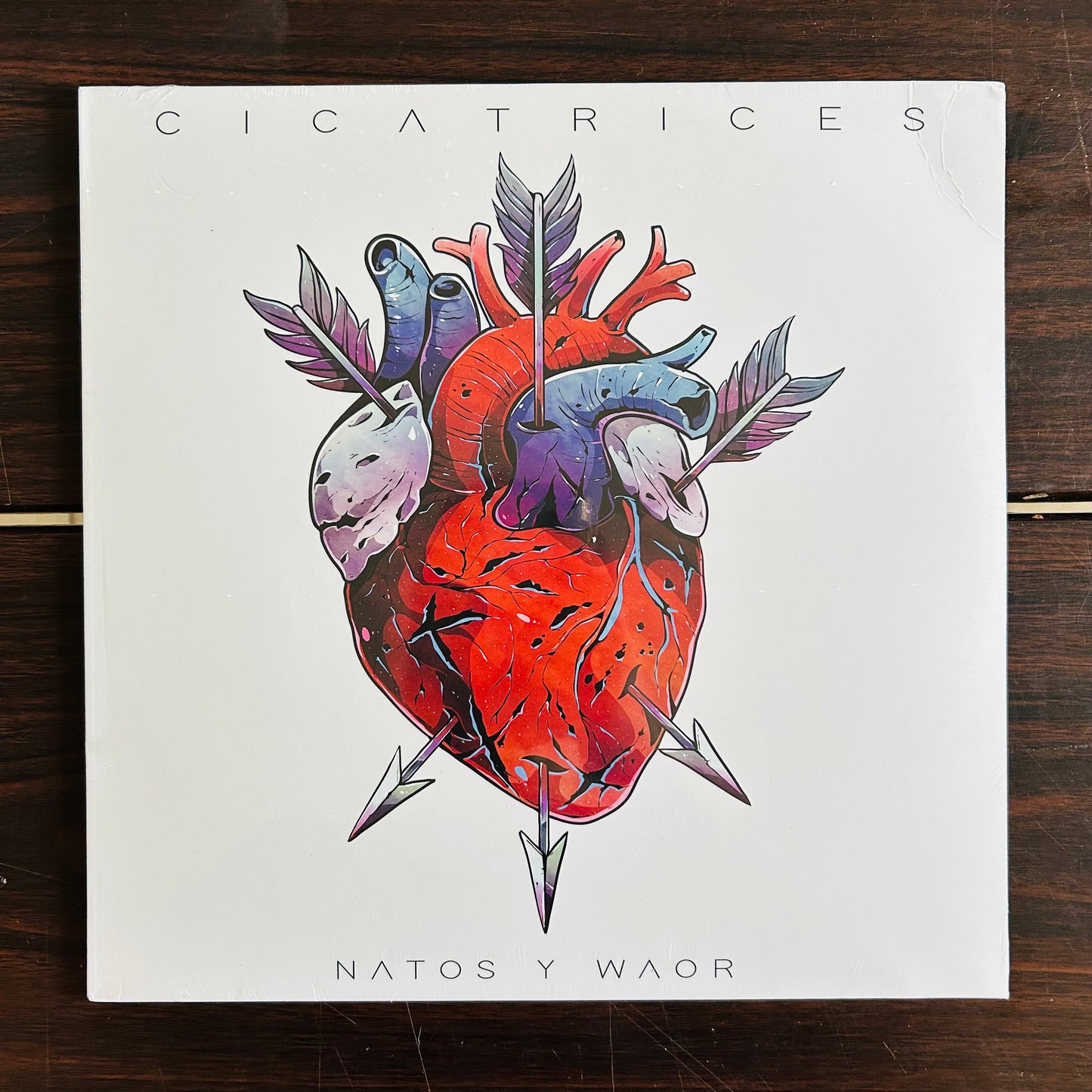 CICATRICES (VINILO)