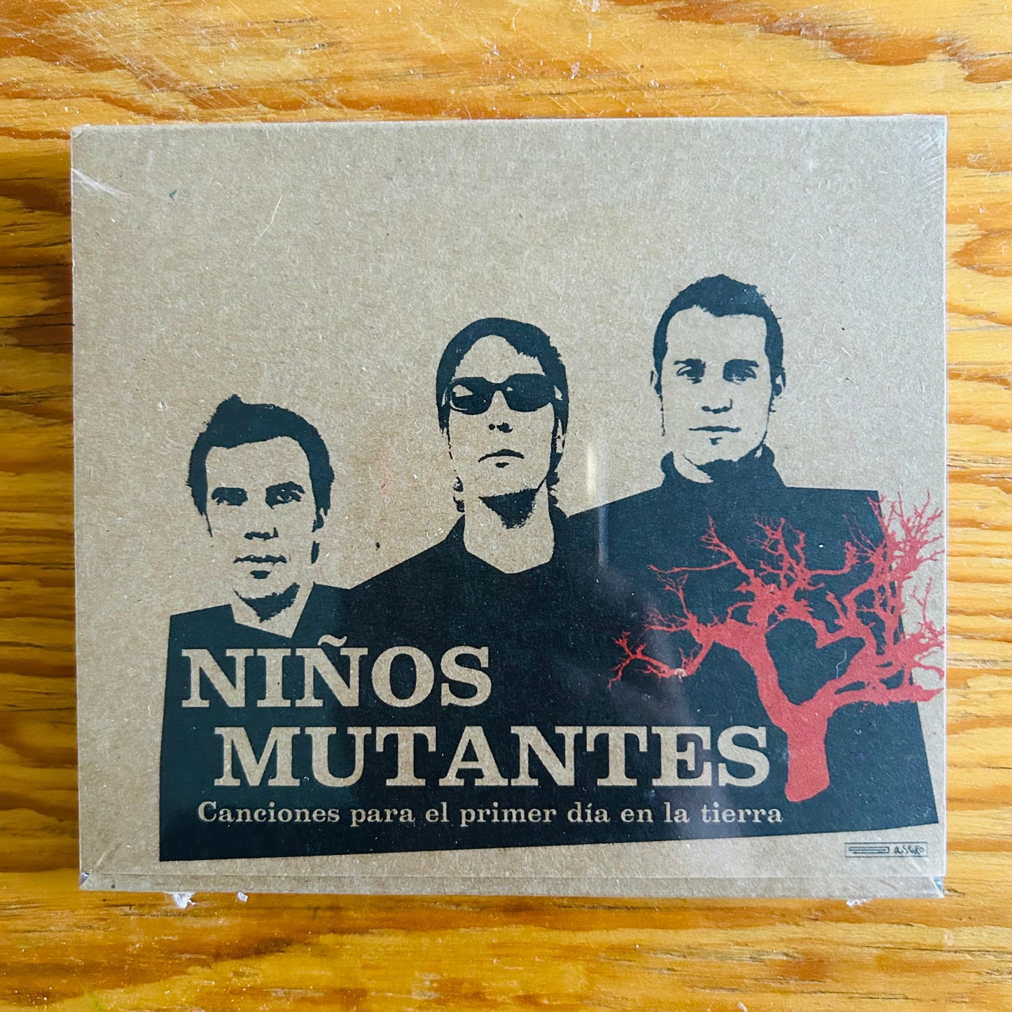 CANCIONES PARA EL PRIMER DÍA EN LA TIERRA
