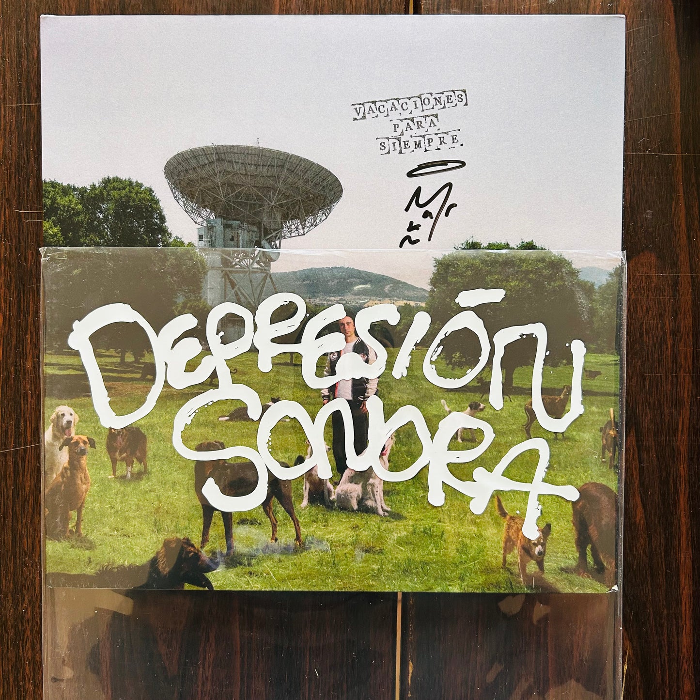 LOS PERROS NO ENTIENDEN INTERNET (VINILO FIRMADO DELUXE)