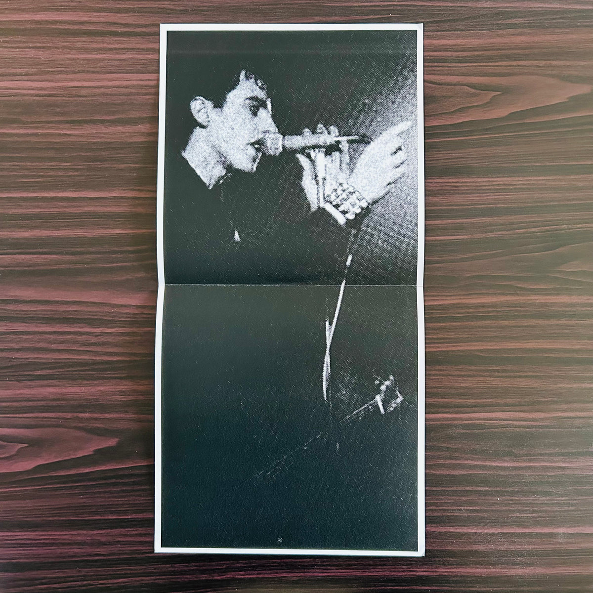 DEMO 1981 (VINILO + PÓSTER)