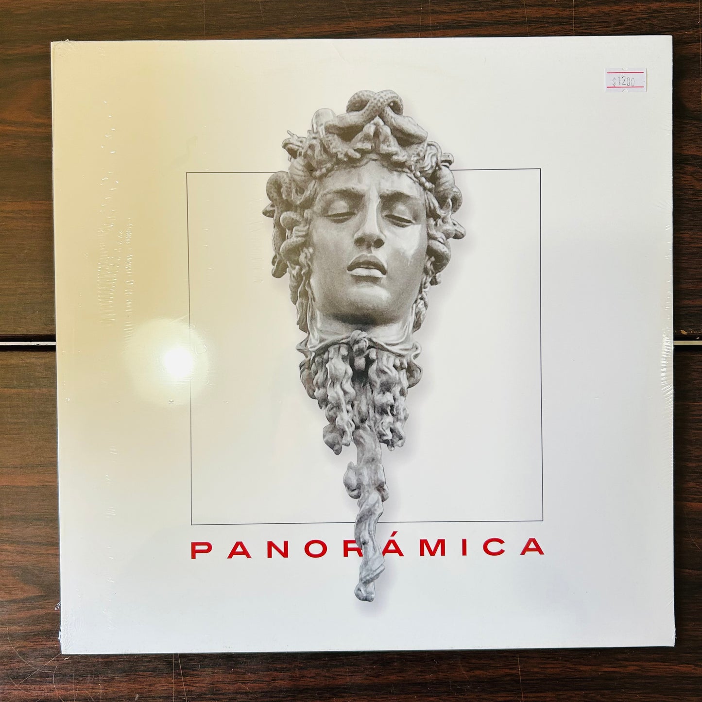 PANORÁMICA (VINILO)