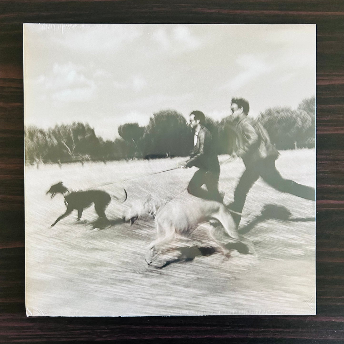 EL PERRO QUE FUMA (VINILO)