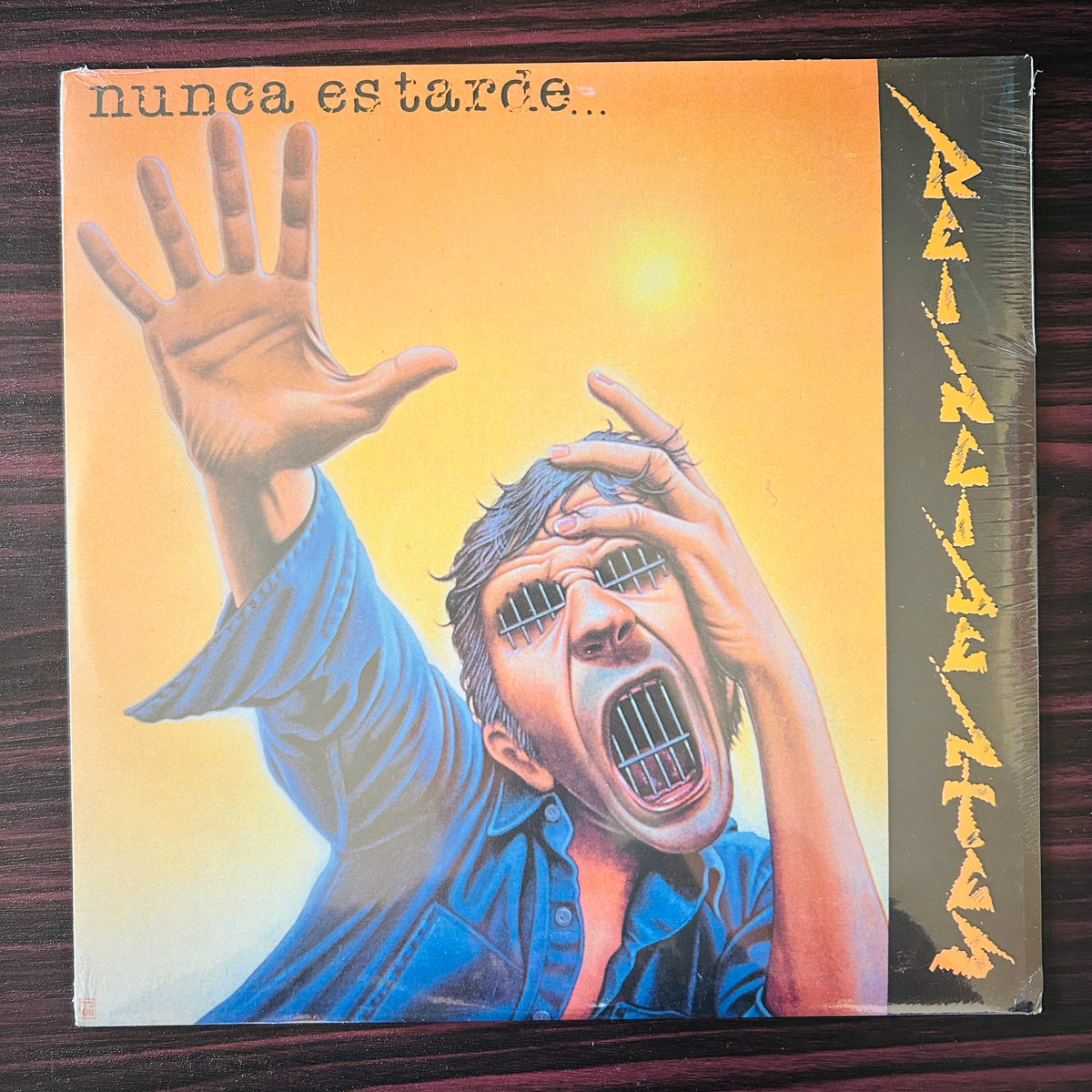 NUNCA ES TARDE (VINILO)