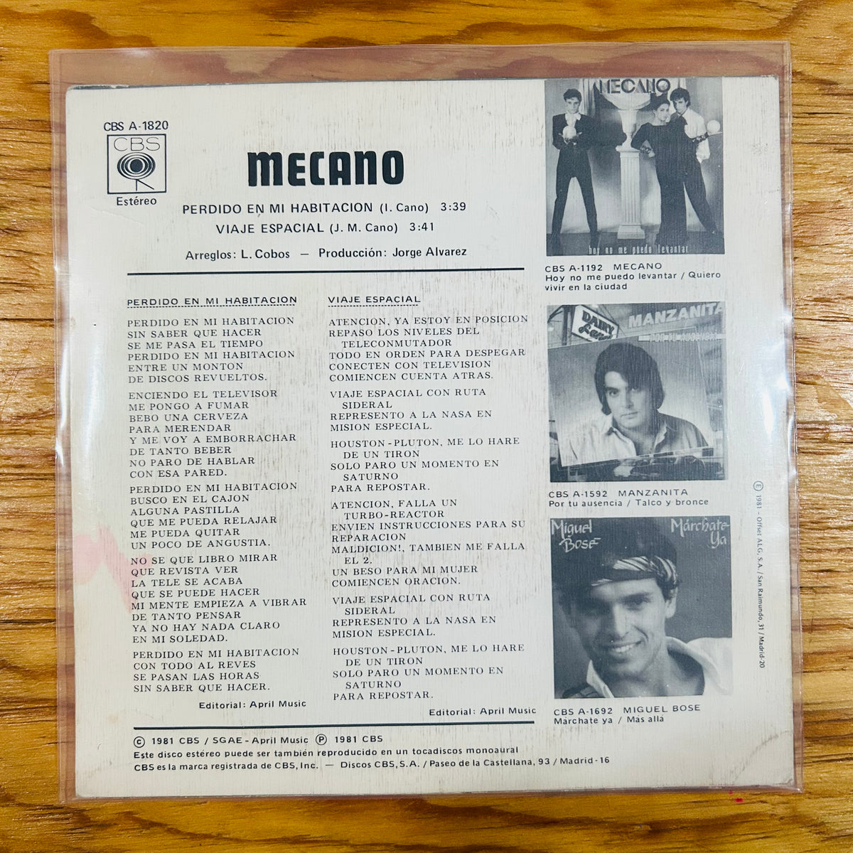 PERDIDO EN MI HABITACIÓN (VINILO SINGLE 7”)