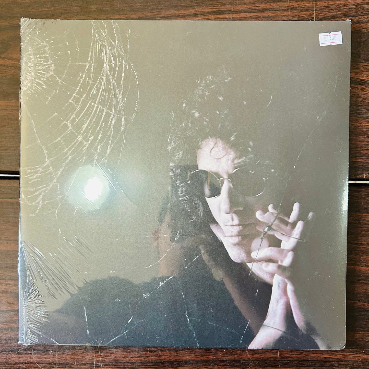 POSIBLE (VINILO)