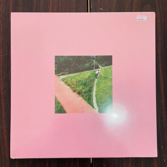 CAMINITO DEL DESEO (VINILO)