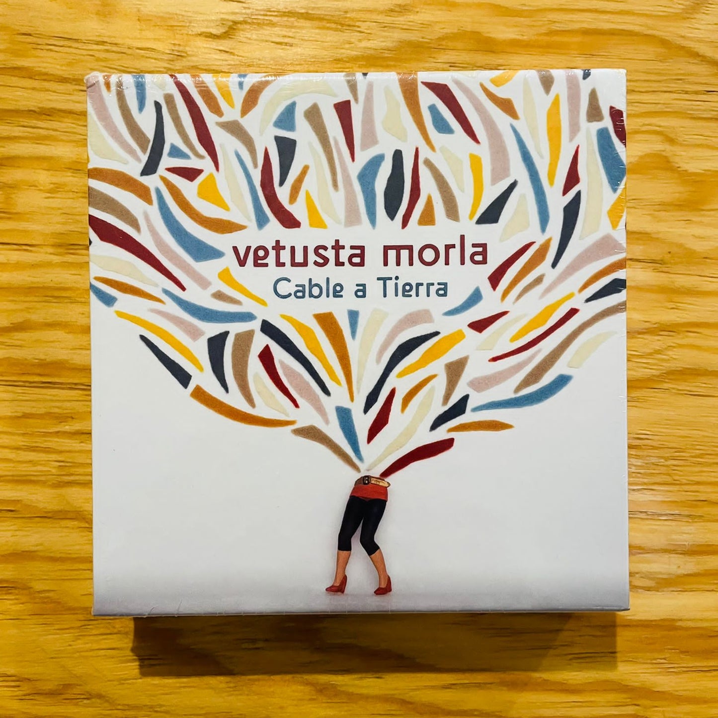CABLE A TIERRA (CD)